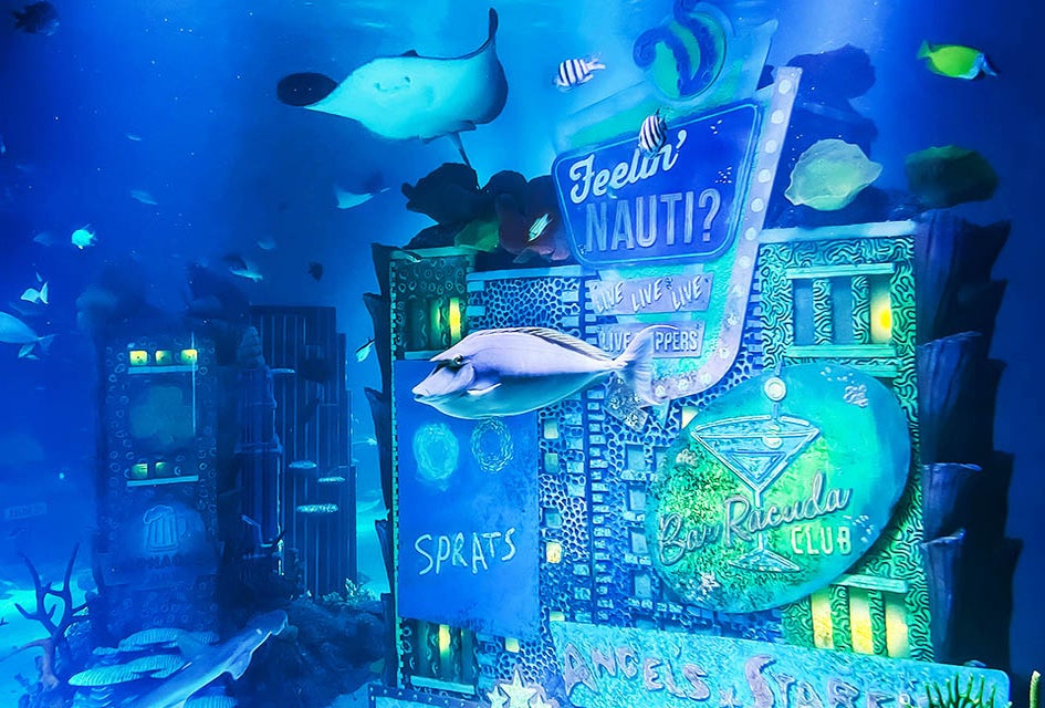 Tropical fish, rays, sharks and more are on view at Sea Life Aquarium.