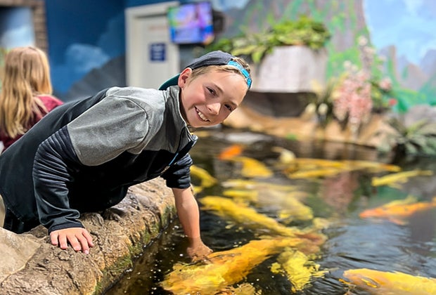 Fun Things To Do in Sacramento, California: Sea Quest