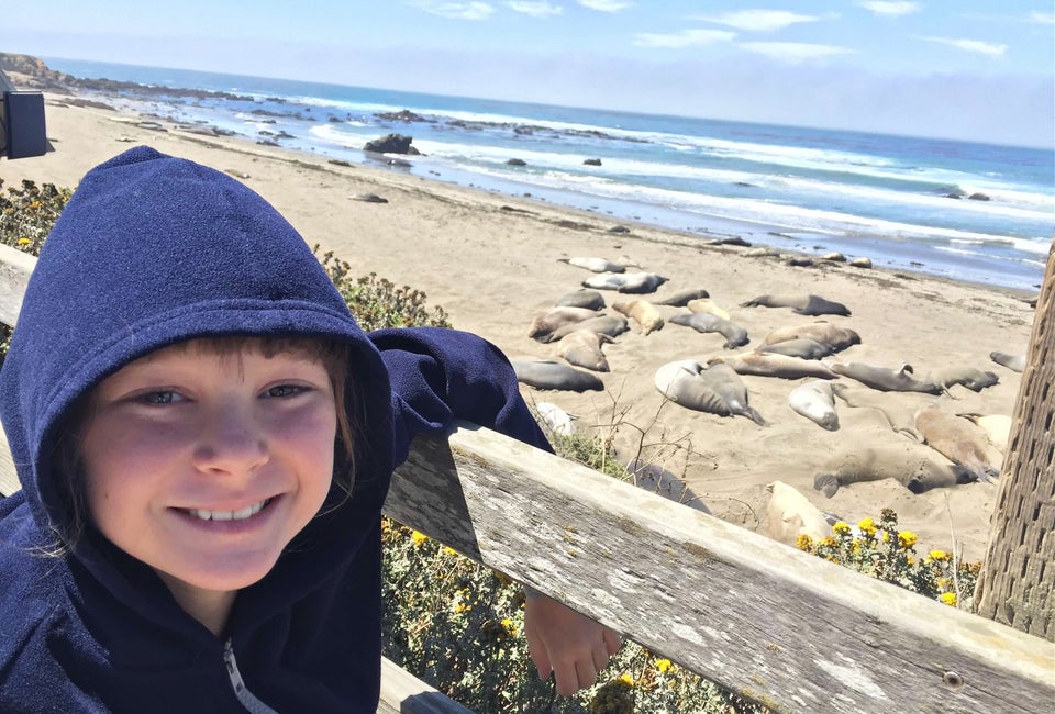 Elephant Seal Vista Point in San Simeon. Photo by Meghan Rose