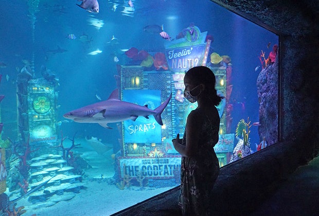 Aquariums near NYC: Sea Life Aquarium