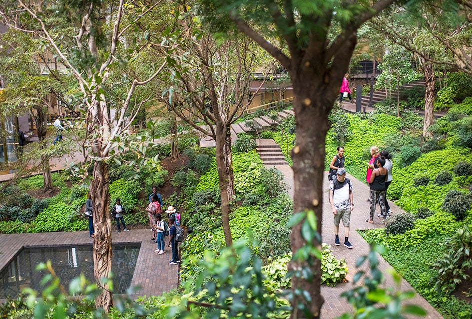 The Ford Foundation Atrium houses a spectacular, indoor, secret garden to explore. Photo courtesy of the foundation