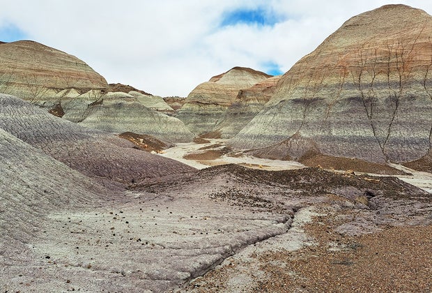 Petrified Forest National Park; Sedona with Kids: Best Things To Do in Sedona, AZ