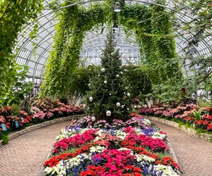Serenity is this year's theme at Garfield Park Conservatory. The exhibit is up through January, photo courtesy of the conservatory