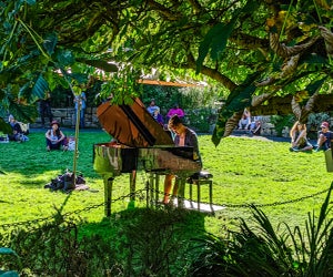 Hear music in the botanical gardens at Golden Gate Park. Flower Piano photo by Mitch Altman via Flickr  CC BY-NC-ND 2.0