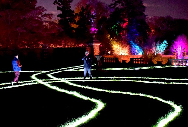 Wander through brightly lit mazes at Shimmering Solstice