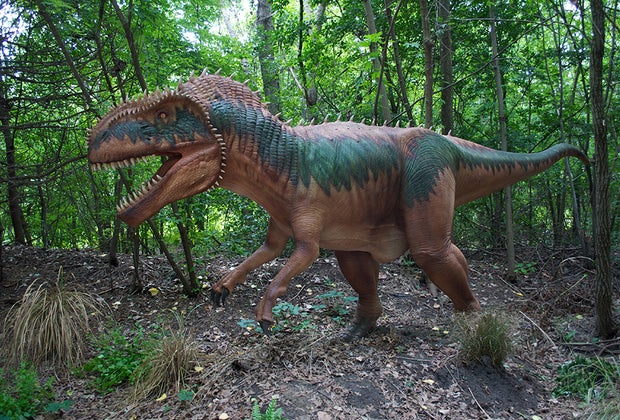 See a megalosaurus in the wild!