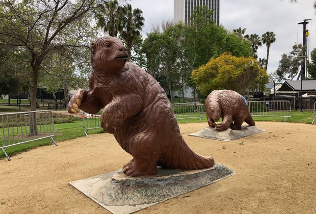 Why You Should Visit LACMA: Say hi to the Sloths