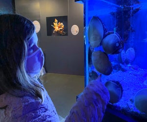 Who you calling a slug?! It's a Slug's Life at the Maritime Aquarium. Photo by Ally Noel