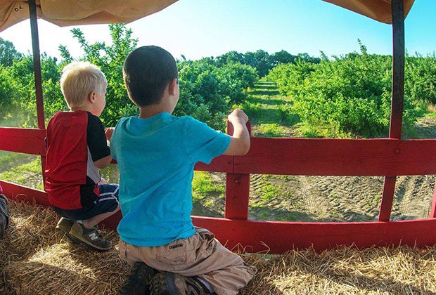 Image of kids on hayride - Hayrides near Boston