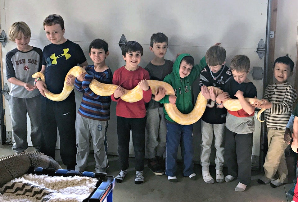 Let the New England Reptile Show prove snakes can make fun party animals! Photo by author