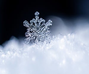 Kids will learn there's science in each snowflake! 