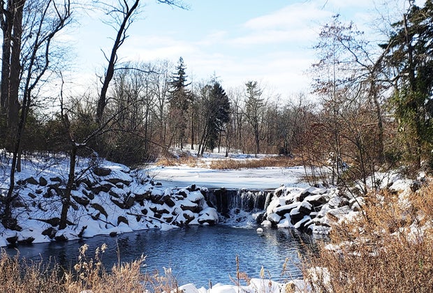 Explore Duke Farms for outdoor fun