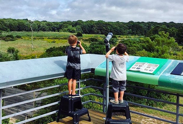 Two young birders look through binoculars at SoFo Natural History Museum and Nature Center