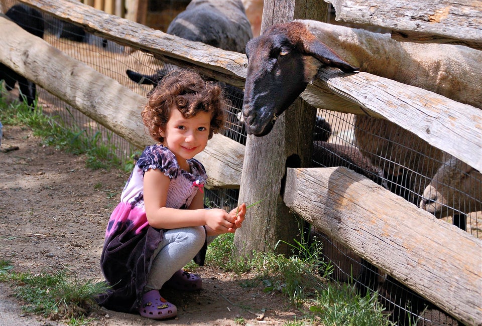 With a working farm, plenty of trails to explore, and hands-on programming, the Stamford Museum & Nature Center is a family-friendly wonderland. Photo courtesy of Stamford Museum & Nature Center