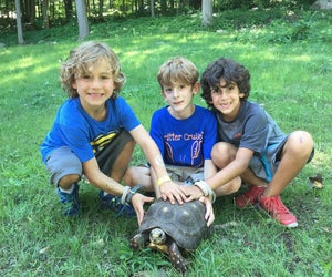 Kids can get up close and personal with nature at the Stamford Museum and Nature Center. Photo courtesy of the center