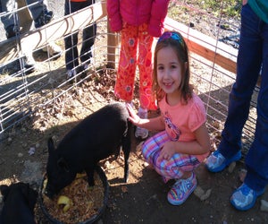 Animals love visits at the Stamford Nature Center. Photo courtesy of the nature center