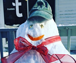 See Garden Dreams Winter Sculptures at The Stevens-Coolidge Place. Photo courtesy of The Trustees