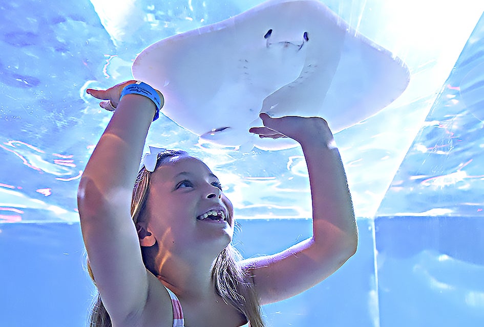 SeaQuest will offer hands-on experiences with sea life and other animals.
