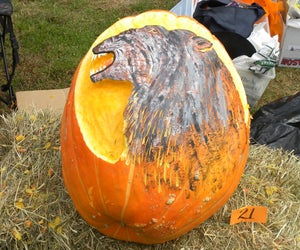 Pumpkins come in all shapes, sizes, and designs in Stratford. Photo courtesy of the Town of Stratford