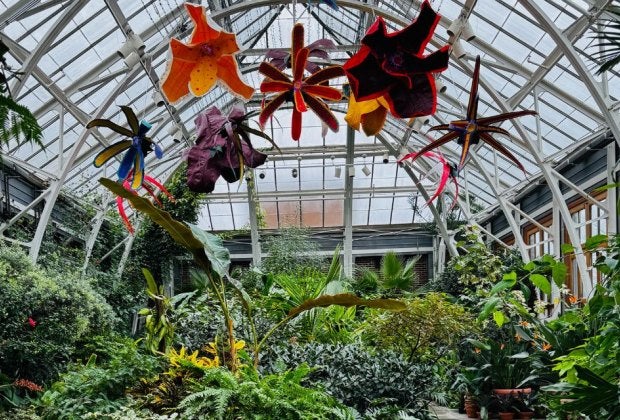 Check out the eye-popping attractions and fun things to do in Central Massachusetts with kids!