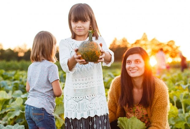 Fall Festival Weekends are happening at Johnson's Corner Farm. Photo courtesy of the farm