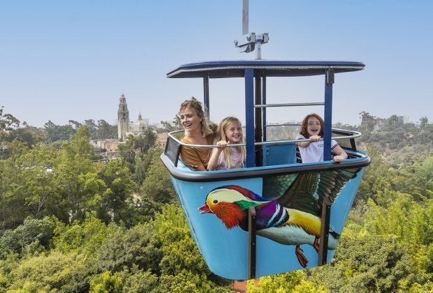 Ride the San Diego Zoo Skyfari. Photo courtesy of Christina Simmons, for the San Diego Zoo.