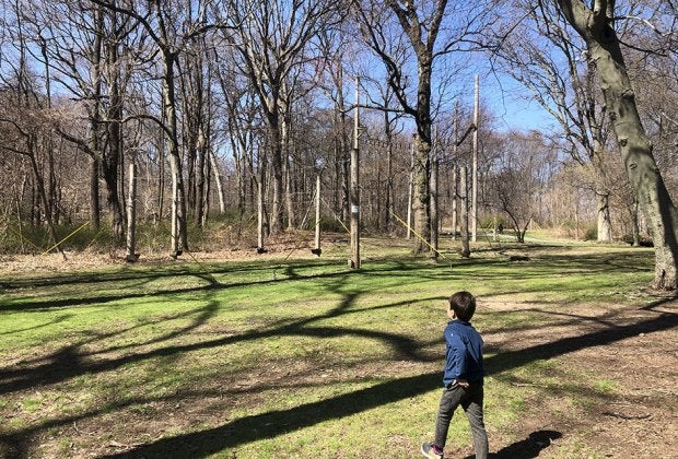 Alley Pond Park is spacious and filled with old-growth trees making it easy to forget the urban jungle is just beyond its borders.