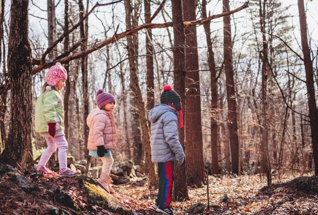 Enjoy a guided walk around the sanctuary in search of beavers. Photo courtesy of Mass Audubon Stony Brook