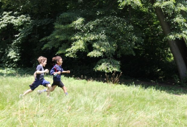 Photo courtesy of Awbury Arboretum