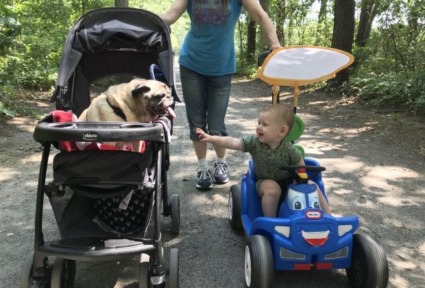 Both babies and dogs love stroller walks for some fresh air. Photo courtesy of Gina Massaro for Mommy Poppins