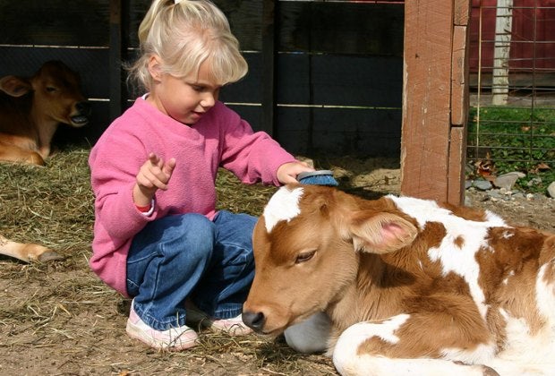 Kids can see (and sometimes touch!) animals up close at Greater Boston's farms and petting zoos! Photo credit: Davis Farmland Sterling, MA