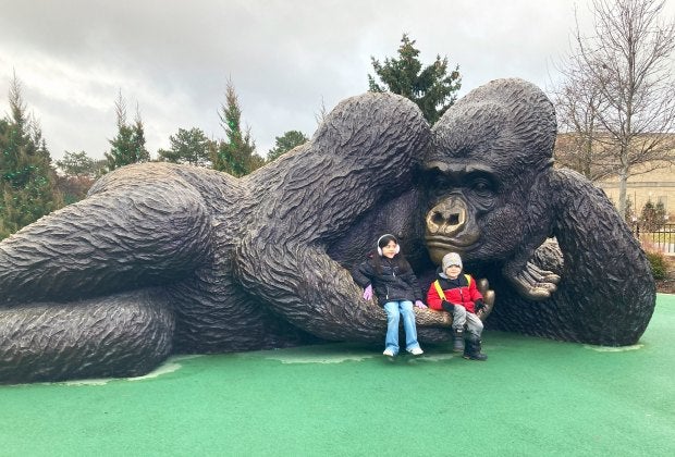 You can easily spend all day at Brookfield Zoo Chicago. Photo by the author