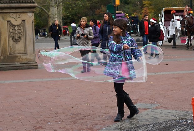 Central Park offers a respite from the busy streets of Manhattan. 
