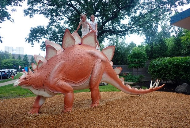 Climb "Steggie," the eight-foot tall Stegosaurus sculpture that has greeted museumgoers since 1968 at  the Cleveland Museum of Natural History.