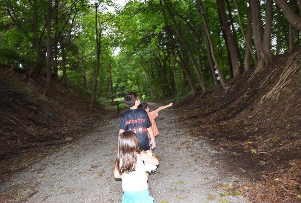 Keep your eyes peeled as you traverse the Columbia Trail. Wildlife real and imagined call the edges of this hiking trail home.