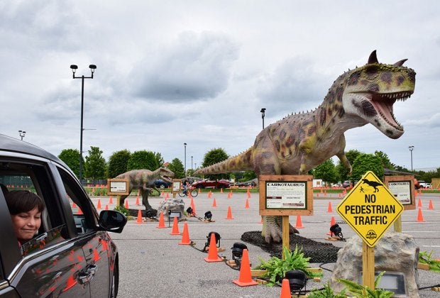 Dino Safari takes visitors on a prehistoric tour of more than 40 life-sized, moving dinosaurs in the parking lot at Deer Park's Tanger Outlets.