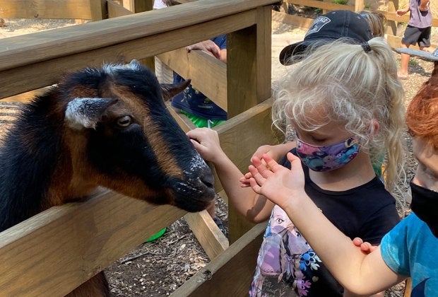 Introduce your child to science through hands-on experiments and exploration at Discovery Science Camp at the Center for Science Teaching and Learning.