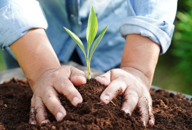 Find hands-on ways to care for the planet at Earth Day 2025 celebrations in Connecticut.