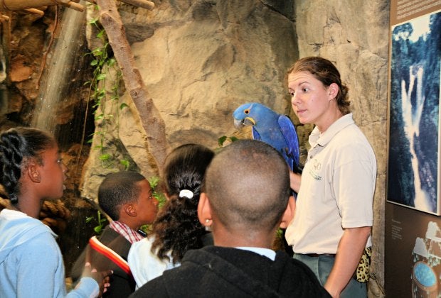 Celebrate World Wildlife Day at Franklin Park Zoo. Photo courtesy of Zoo New England
