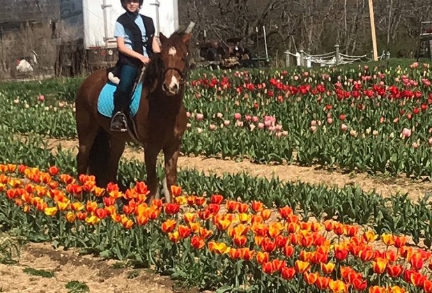 Wander through the brightly colored blooms at Garden of Eve's TulipFest. Photo courtesy of Garden of Eve