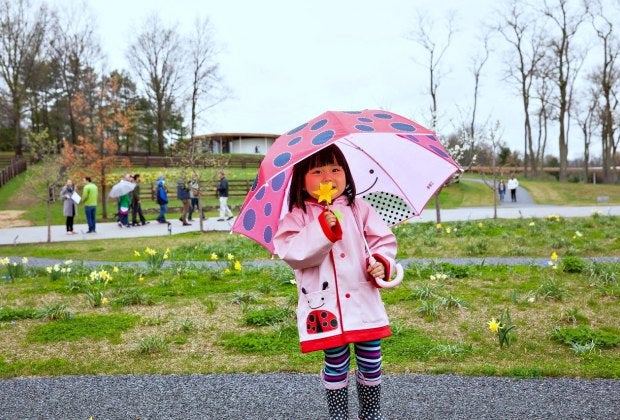 Celebrate Earth Day at Grace Farms. Photo by Vanessa Van Ryzin