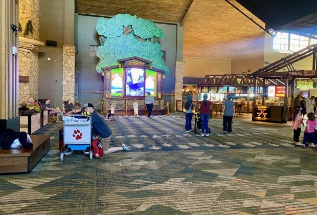 The renovated lobby at Great Wolf Lodge Grapevine. Image by Gabby Cullen