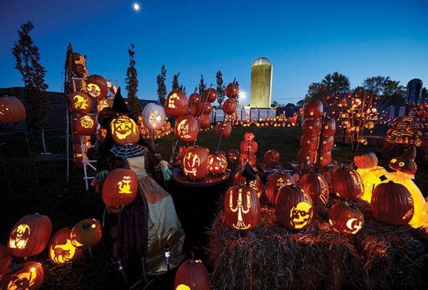 Enjoy an elaborate display of intricate, creative hand-carved, and lit pumpkins at Wagner Farm Arboretum's Brite Nites attraction.