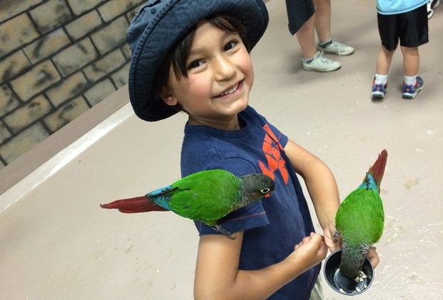 The tropical birds at the Long Island Aquarium sure aren't shy. Photo courtesy of the aquarium.