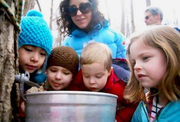 Discover the magic of maple sugaring with a Maple Lanes tour at the Hudson Highlands Nature Museum. Photo courtesy of the museum