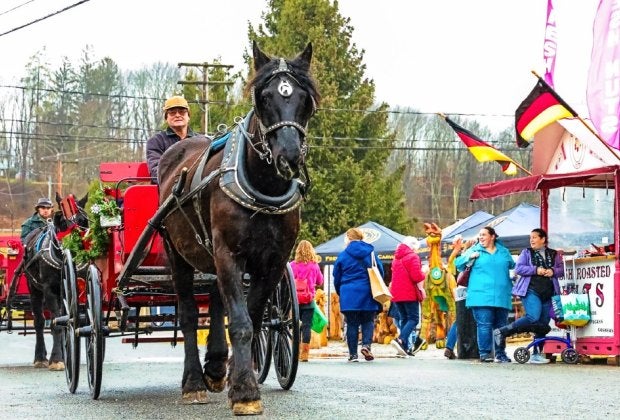 Tour the Sussex County Fairgrounds in horse-and-carriage during a visit to the German Christmas Market of New Jersey. 