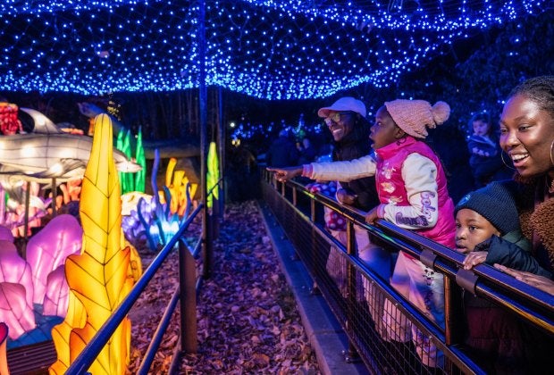 The Holiday Lights at the Bronx Zoo shine brightly into the new year. Photo by Terria Clay/Bronx Zoo