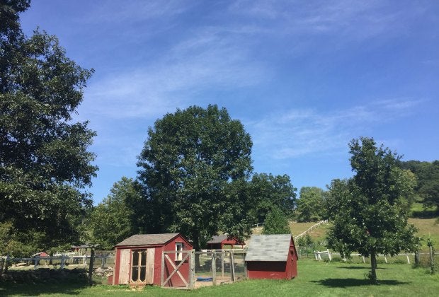 Set on 777 acres in Somers, Muscoot Farm is a sweet spot to visit with young children. Photo courtesy of the farm