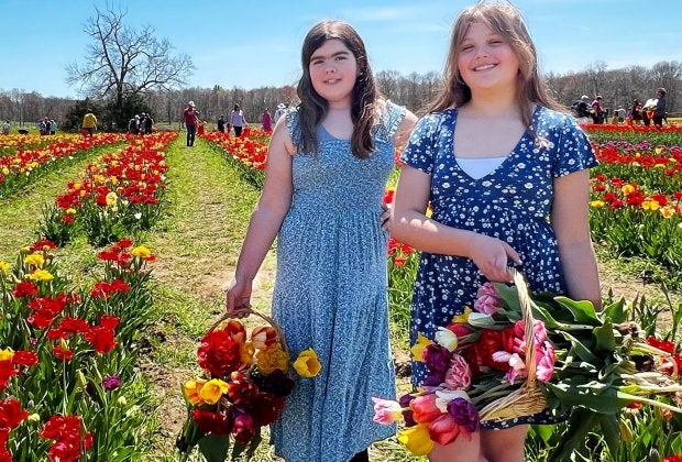 Fill a basket with beautiful blooms.