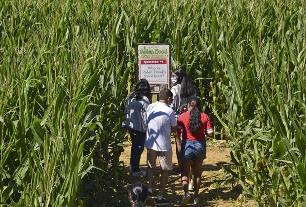 The corn maze at Harbes Family Farm in Mattituck is fun for the whole family.